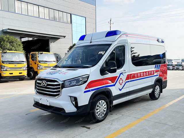ประเภทการตรวจสอบ Datong V90